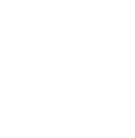 Solo VP